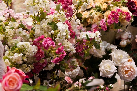 flower color is very beautifulの写真素材