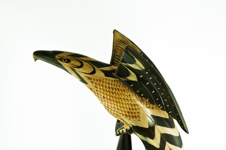 american bald eagle in isolatedの写真素材