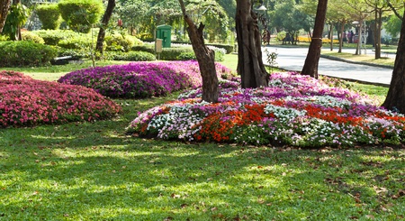 the beautiful flowersのeditorial素材
