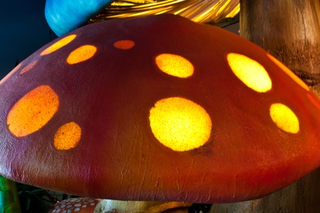 mushroomsの写真素材