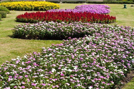 the beautiful flowersの写真素材