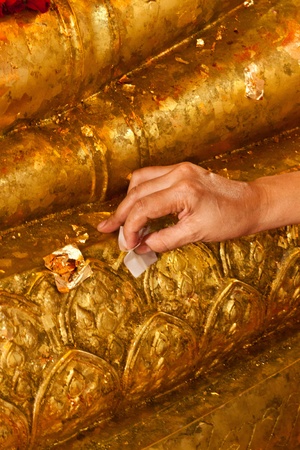 handsの写真素材