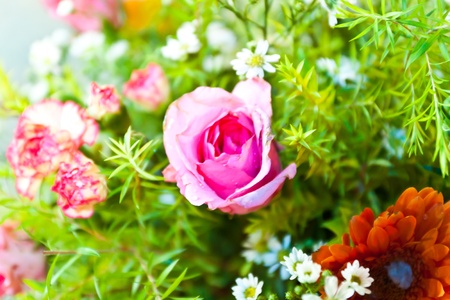 beautiful spring flowersの写真素材