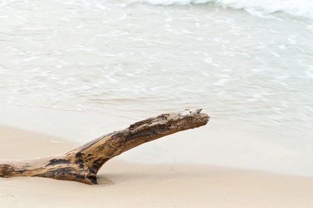 wooden wall background or textureの写真素材