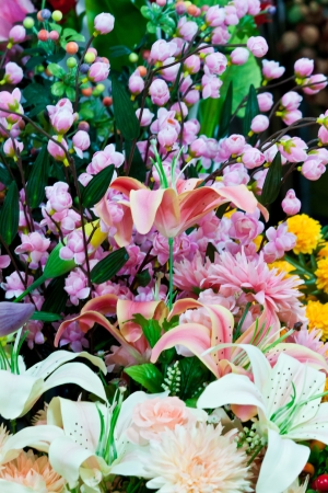 beautiful spring flowersの写真素材