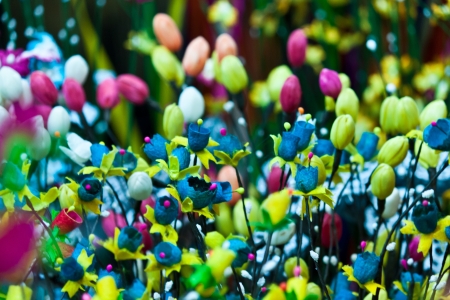 beautiful spring flowersの写真素材