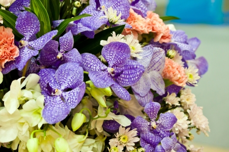 beautiful spring flowersの写真素材