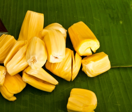 jack-fruit