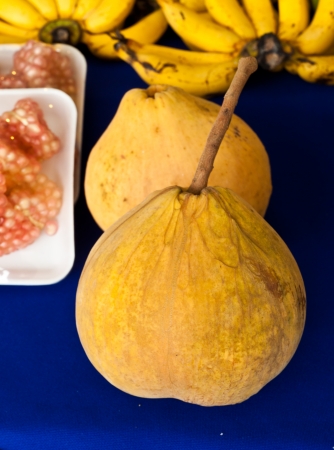 Santol fruitの写真素材