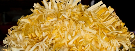 jack-fruitの写真素材