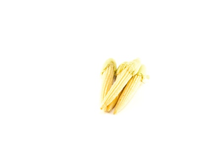 Baby corn on a white background, close-upの写真素材