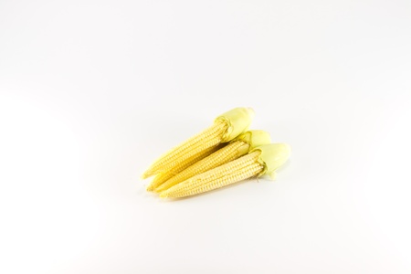 Baby corn on a white background, close-upの写真素材