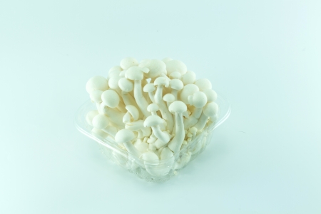 brown beech mushroom isolated on white