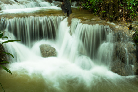 Deep forest waterfallの写真素材