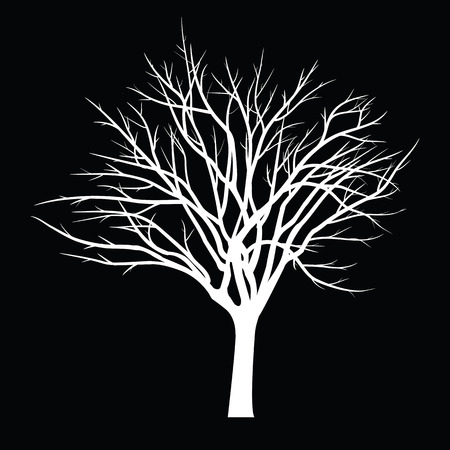 Trees with dead branchのイラスト素材