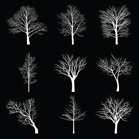 Trees with dead branchのイラスト素材