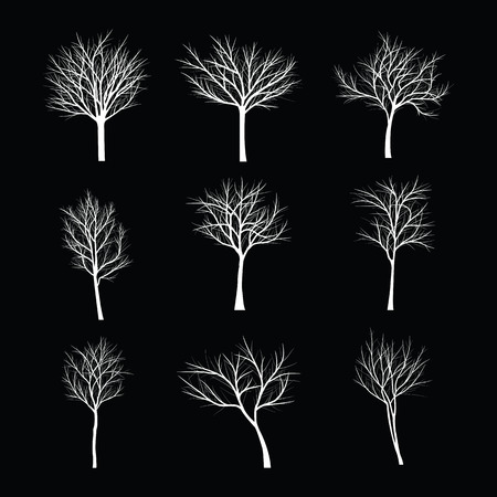 Trees with dead branchのイラスト素材