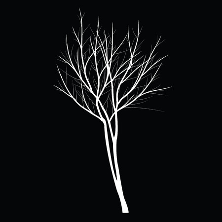 Trees with dead branchのイラスト素材