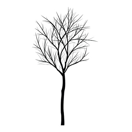 Trees with dead branchのイラスト素材