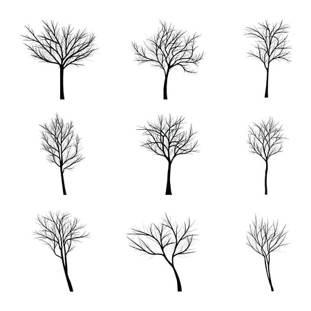 Trees with dead branchのイラスト素材