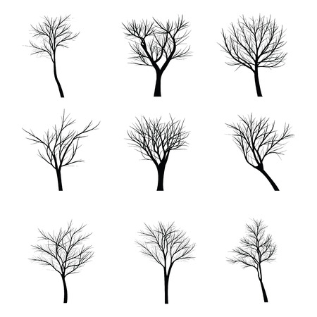 Trees with dead branchのイラスト素材