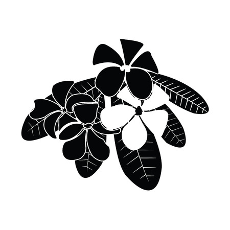 frangipani silhouettes for design vectorのイラスト素材