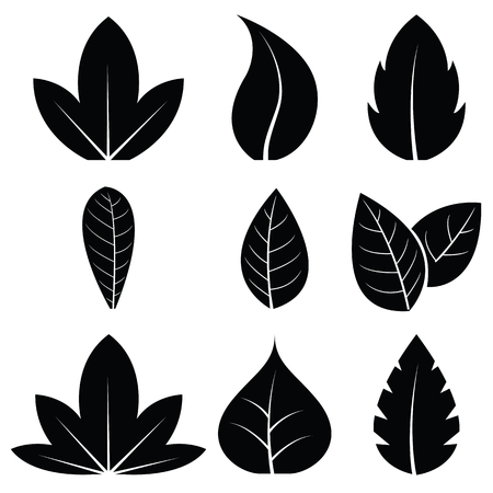 Vector leaves icon set on white backgroundのイラスト素材