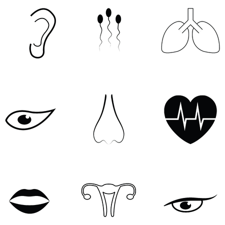 human anatomy icon setのイラスト素材