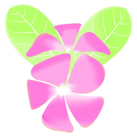 Frangipani and leaves Isolated On White Backgroundのイラスト素材