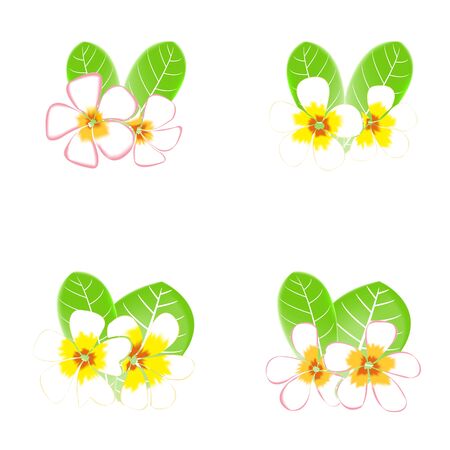 Frangipani and leaves Isolated On White Backgroundのイラスト素材