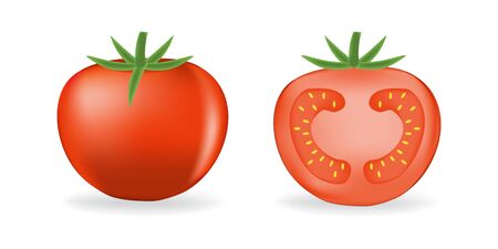 Tomato organic food photo-realistic vector illustrationのイラスト素材