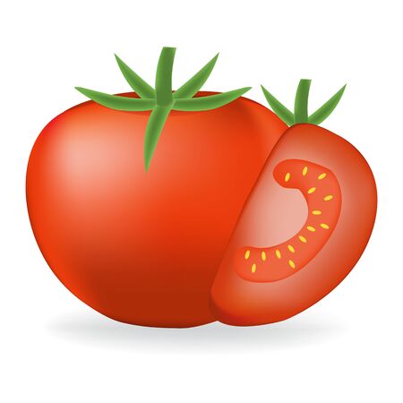 Tomato organic food photo-realistic vector illustrationのイラスト素材