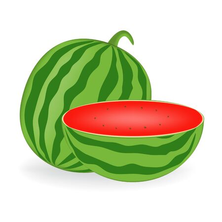 Watermelon juice vector realistic illustrationのイラスト素材