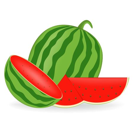 Watermelon juice vector realistic illustrationのイラスト素材