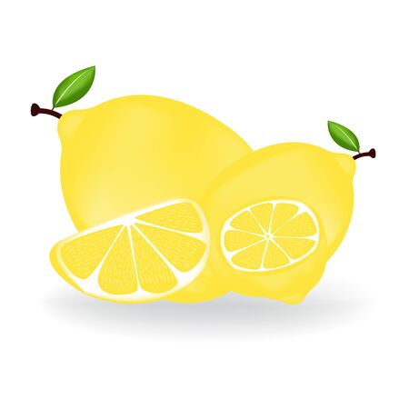 Fresh lemon fruits with leaf.のイラスト素材