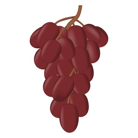 Realistic fresh bunch of grapes  on white background.のイラスト素材