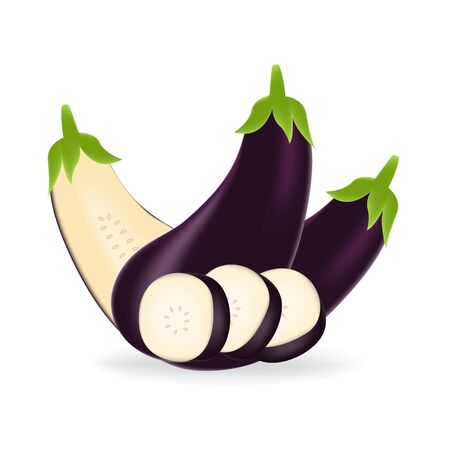 Realistic purple eggplant isolated on a white background.のイラスト素材