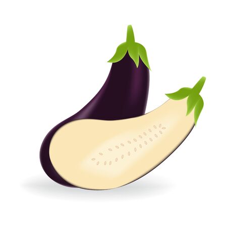 Realistic purple eggplant isolated on a white background.のイラスト素材