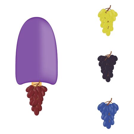Vector illustration of colorful Fresh grape ice cream.のイラスト素材