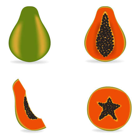 Vector illustration fresh papayaのイラスト素材