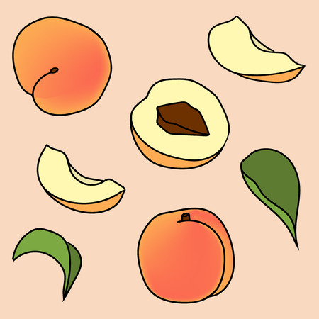 Hand drawn illustration of peach in cartoon style. Perfect for menu, card, textile, seasonal designのイラスト素材