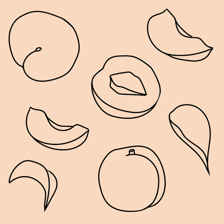 Hand drawn illustration of peach in cartoon style. Perfect for menu, card, textile, seasonal designのイラスト素材