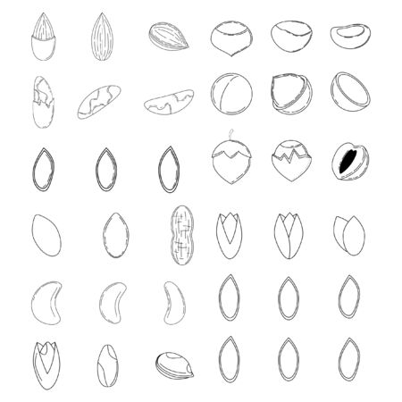 Set of nuts in outline style. icons for design and web isolated on white background.のイラスト素材
