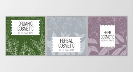 Herbal cosmetics vector card template. Modern illustration for design and web.のイラスト素材