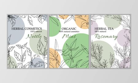 Herbal cosmetics vector card template. Modern illustration for design and web.のイラスト素材