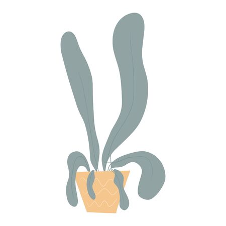 Hand drawn flat illustration of decorative houseplant in pot isolated on white background. Trendy plant growing in pot. Beautiful natural home decoration.のイラスト素材