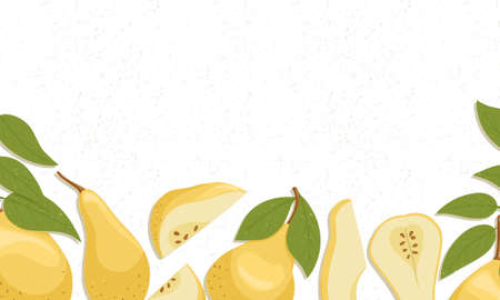 Pear fruit border vector cartoon illustration. Yellow sweet pears horizontal banner or frame for farm market design.のイラスト素材