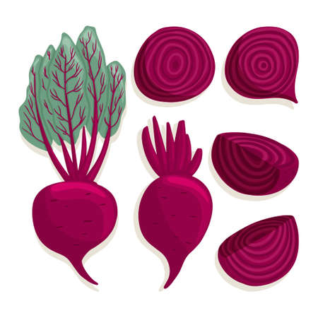 beetroot collection in cartoon style. Bright beet vegetables isolated on white background. Healthy...