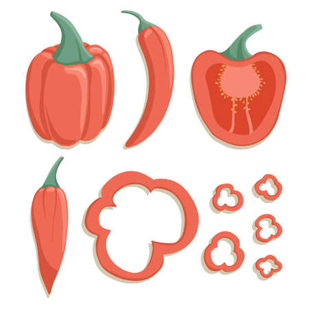 bell peppers collection in cartoon style. Bright chili peppers vegetables isolated on white background. Healthy organic natural food and pepper slices for autumn farm market design.のイラスト素材