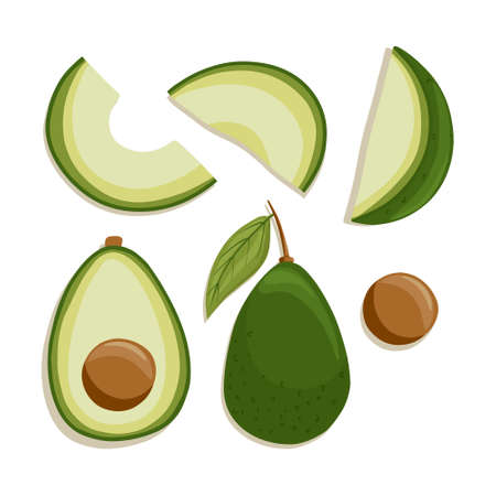 avocado collection in cartoon style. Bright avocado vegetables isolated on white background. Healthy organic avocados with leaves and slices for autumn farm market design.のイラスト素材